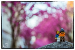legograf #024
