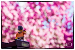 legograf#044