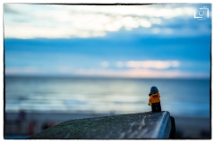 legograf#048