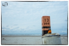 legograf#051