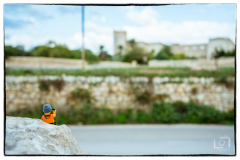 legograf#064