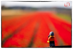 legograf#076